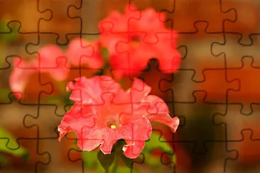 OK jigsaw puzzle