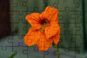 OK jigsaw puzzle