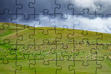 pop jigsaw puzzle