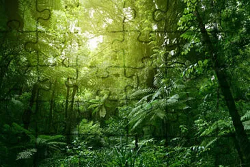 Nature jigsaw puzzle