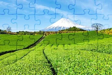 Toy jigsaw puzzle