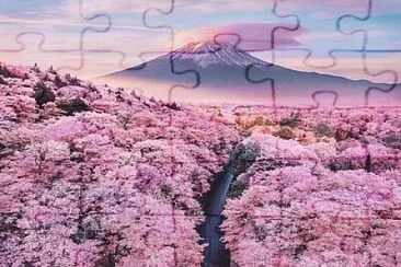 Fuji jigsaw puzzle