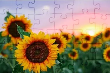 girasoles cute jigsaw puzzle