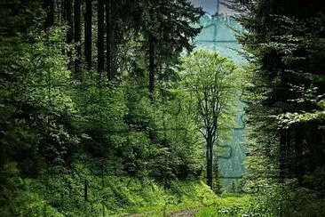 Bosque jigsaw puzzle