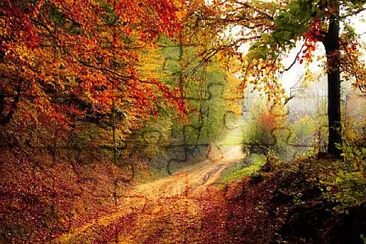 Nature jigsaw puzzle