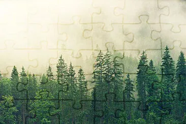 Nature jigsaw puzzle