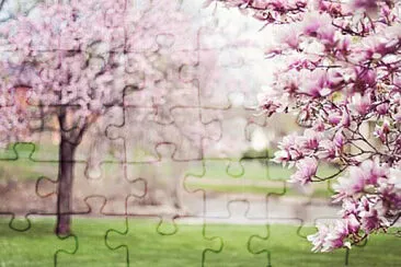 Nature jigsaw puzzle