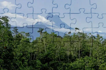 Nature jigsaw puzzle