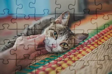 . jigsaw puzzle