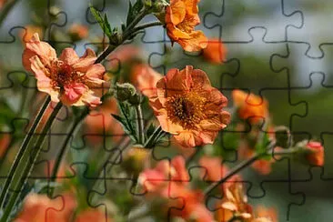 OK jigsaw puzzle