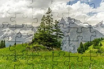 Nature jigsaw puzzle