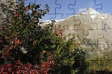 Nature jigsaw puzzle