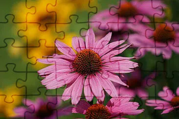 OK jigsaw puzzle