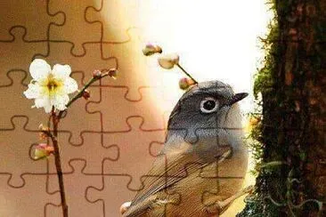 imagem jigsaw puzzle