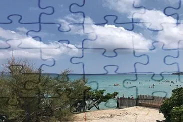 mare jigsaw puzzle