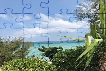 mare jigsaw puzzle