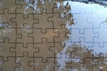 Prospectus from a puddle jigsaw puzzle