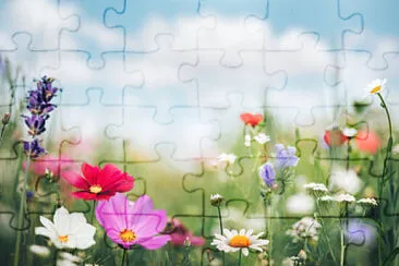 OK jigsaw puzzle