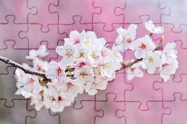 OK jigsaw puzzle