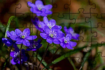 OK jigsaw puzzle