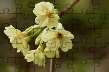 OK jigsaw puzzle