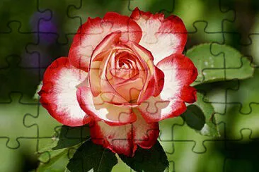 OK jigsaw puzzle