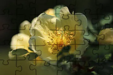 OK jigsaw puzzle