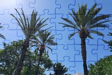 Palm trees jigsaw puzzle