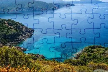 Toy jigsaw puzzle