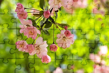 OK jigsaw puzzle