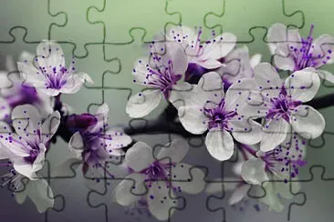 OK jigsaw puzzle