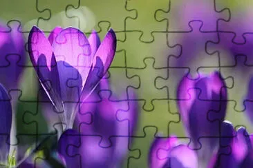 OK jigsaw puzzle