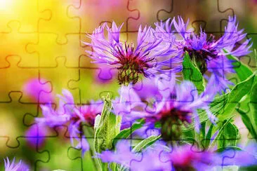 OK jigsaw puzzle