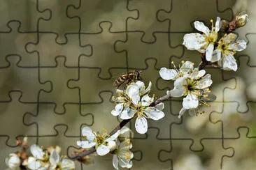 Toy jigsaw puzzle