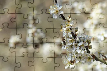 Toy jigsaw puzzle