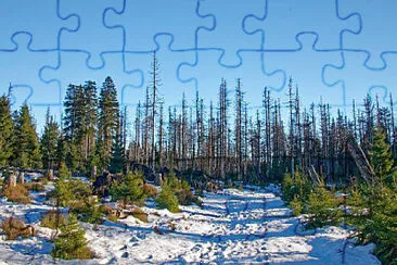 Toy jigsaw puzzle