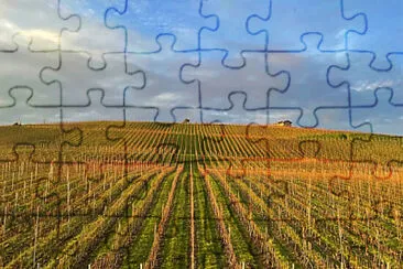 Toy jigsaw puzzle