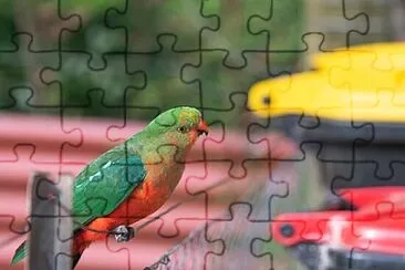 Toy jigsaw puzzle