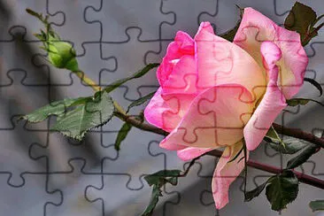 OK jigsaw puzzle