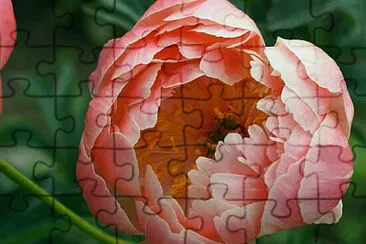 a jigsaw puzzle