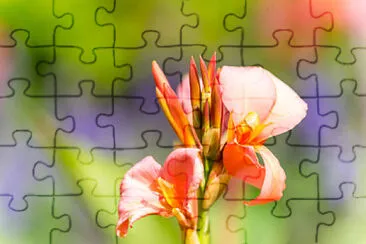 OK jigsaw puzzle