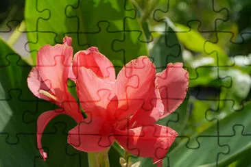 OK jigsaw puzzle