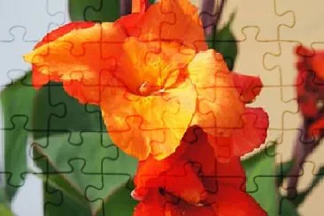 OK jigsaw puzzle