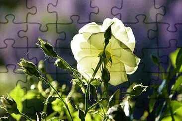 OK jigsaw puzzle