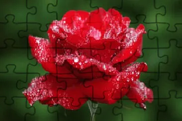 OK jigsaw puzzle