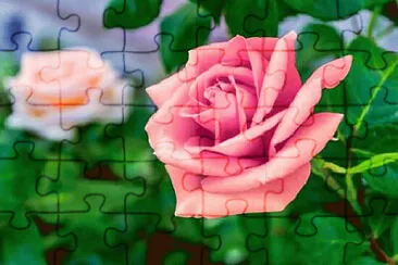 OK jigsaw puzzle