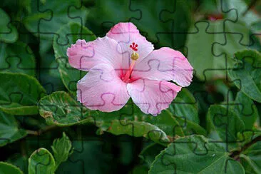 OK jigsaw puzzle