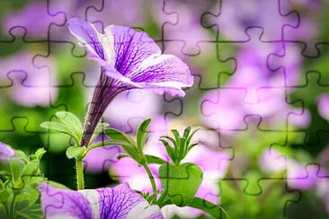 OK jigsaw puzzle