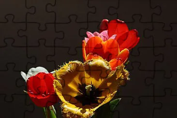 OK jigsaw puzzle