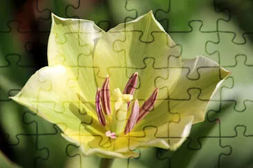 OK jigsaw puzzle